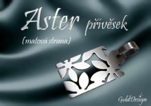 -Aster - přívěsek nerez ocel - mat